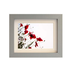 Seattle Silver Single Picture Photo Frame with Mount