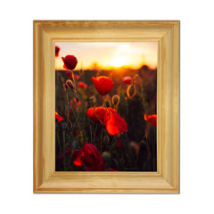 Tailored Frames Picture Frame with Plastic Glass Protection | Solid Wooden Photo Frame Sets for Wall, Office, Apartment, Home, Desk Decorations