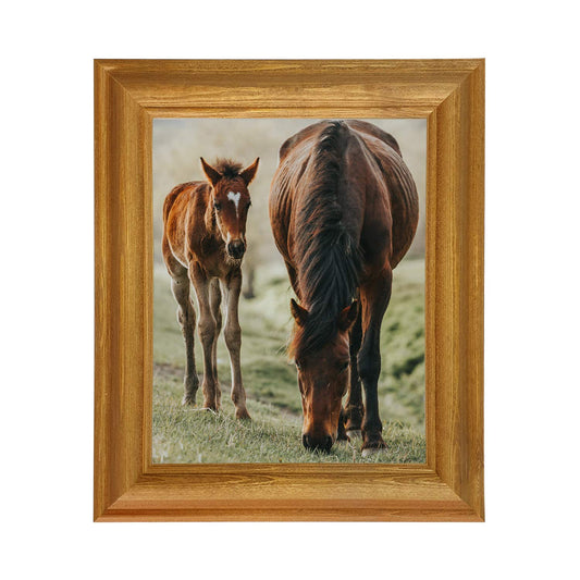 Tailored Frames Picture Frame with Plastic Glass Protection | Solid Wooden Photo Frame Sets for Wall, Office, Apartment, Home, Desk Decorations